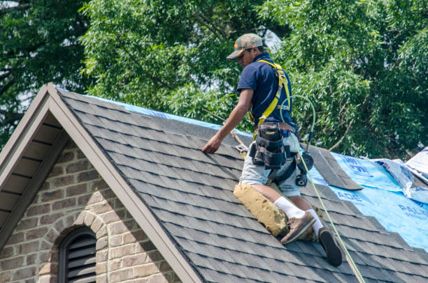 Best Emergency Roof Repair  in Belgium, WI